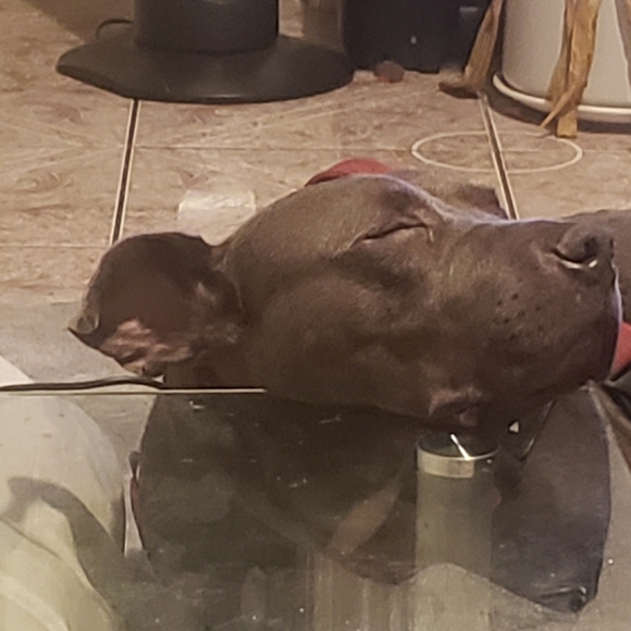 Meet your Posher, Tanya - Picture 2 of 2